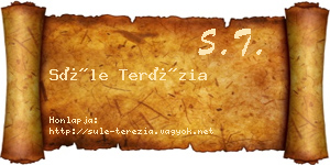Süle Terézia névjegykártya